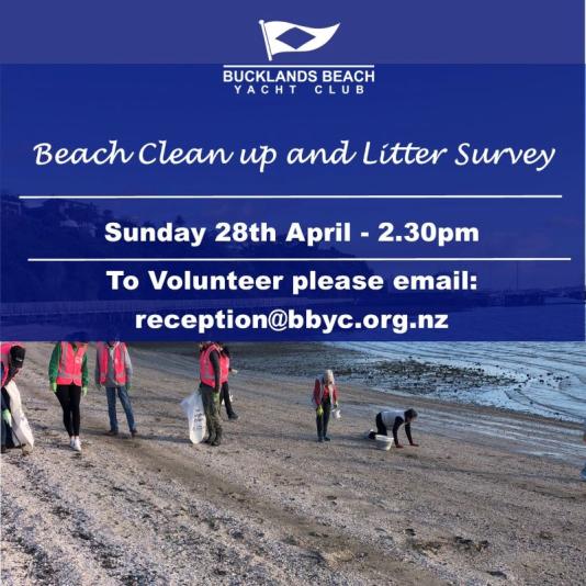 BEACH CLEAN UP AND LITTER SURVEY
